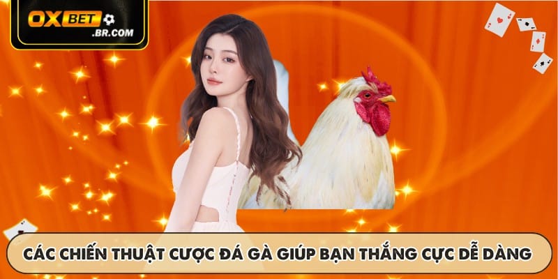 Các chiến thuật cược đá gà giúp bạn thắng cực dễ dàng
