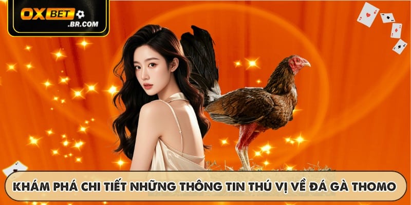 Khám phá chi tiết những thông tin thú vị về đá gà Thomo