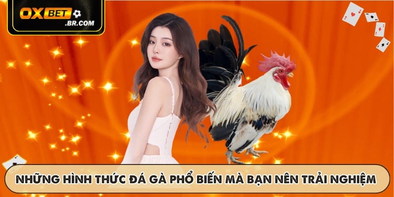 Những hình thức đá gà phổ biến mà bạn nên trải nghiệm