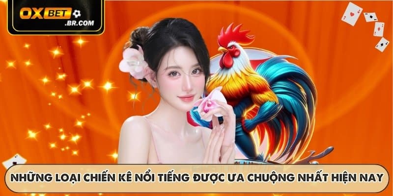 Những loại chiến kê nổi tiếng được ưa chuộng nhất hiện nay