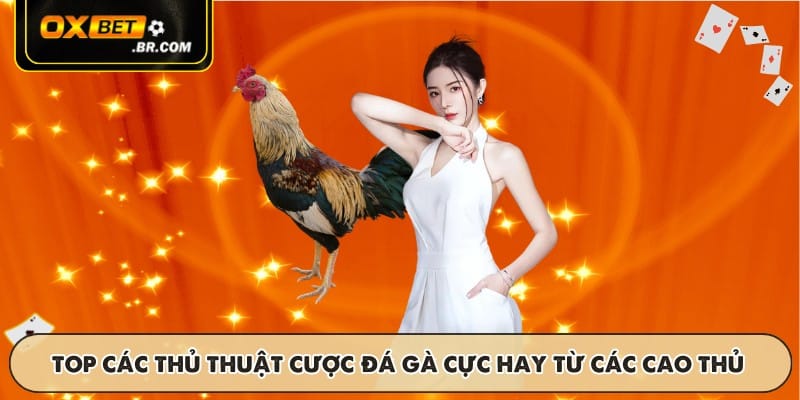 TOP các thủ thuật cược đá gà cực hay từ các cao thủ